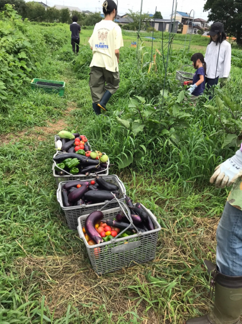 鴻巣有機農業生産グループ 